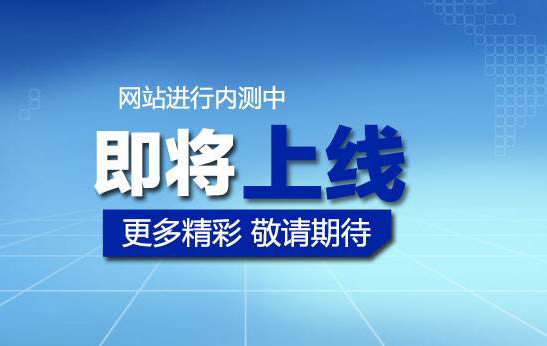 喜迎國慶,瑞賽克官方網(wǎng)站上線！